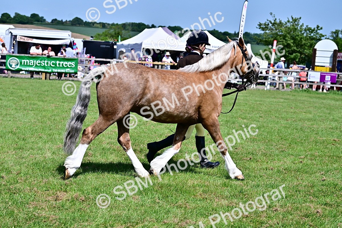 SBM_08059 - Class 61-62 - TSR  M&M Ridden Amateur of the Year