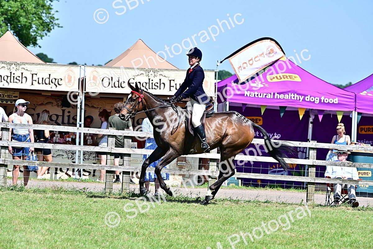 SBM_18149 - Class 99-100 - Retraining of Racehorses Ridden