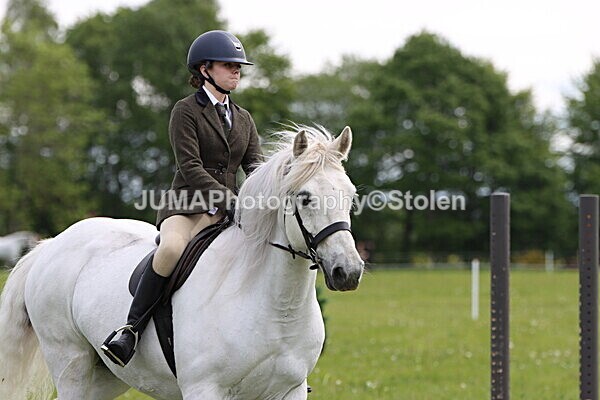 IMG_2490 - Working Hunter