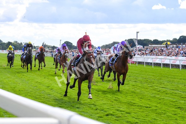 260823-Race 2-Middle Earth-0339 - Race 2 Sky Bet Melrose Handicap