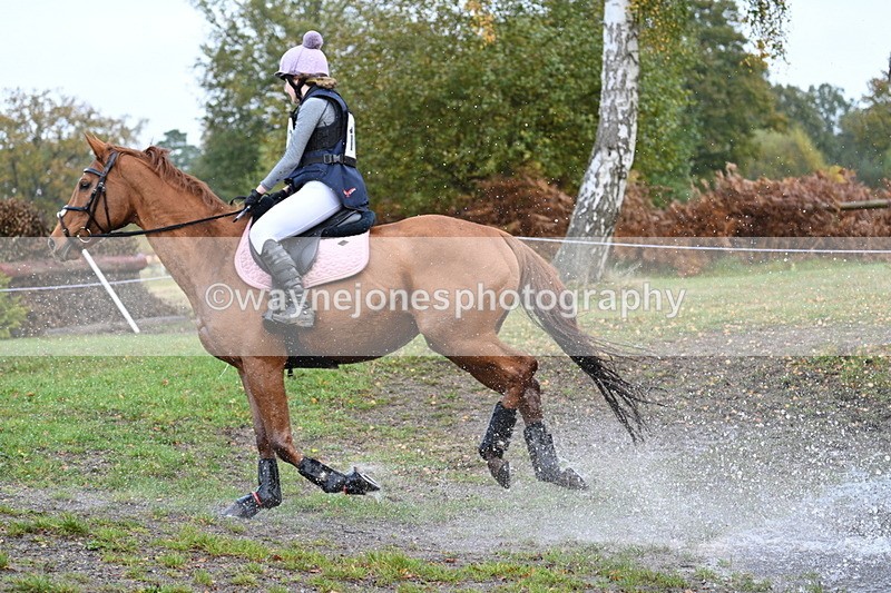 WJ7_0039 - 80cm Cam 2 Water Time 10:24 to 10:44