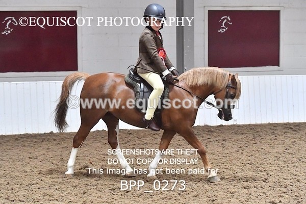 BPP_0273 - RING 1