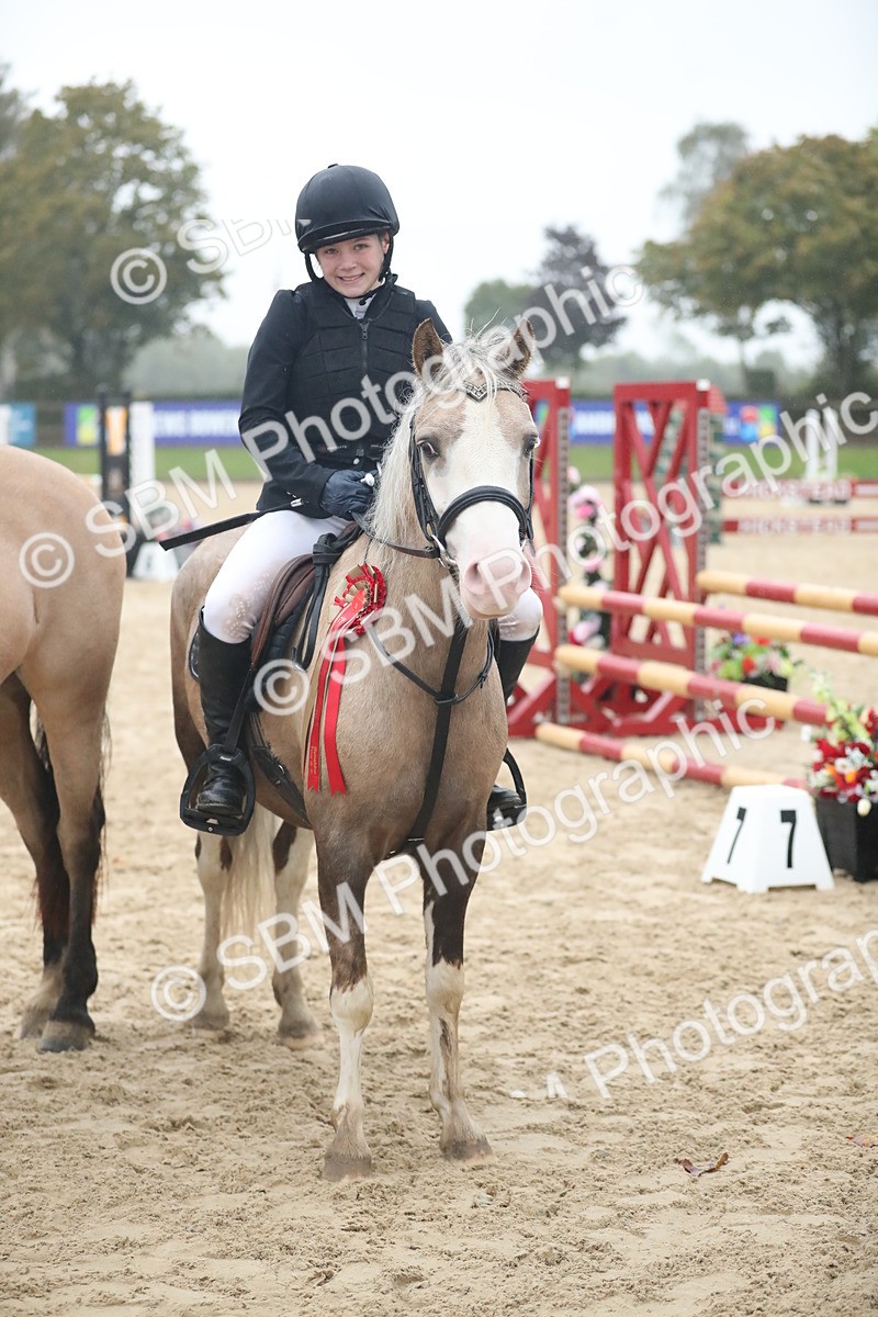 SBM_74325 - Supreme championship Junior Pony 70cm 75cm