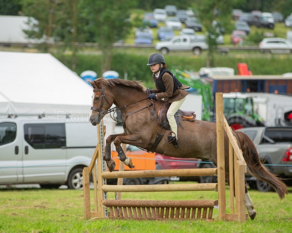 Dunblane show-513 - Dunblane and Doune Show Ring 1