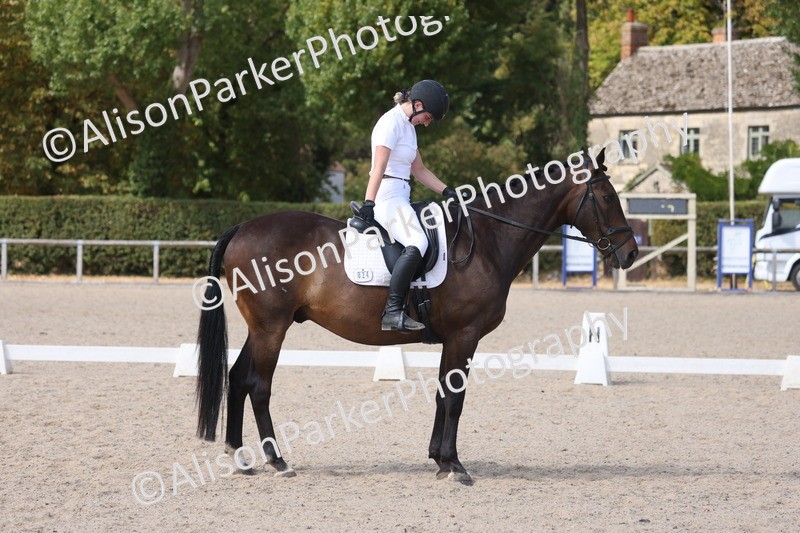 20260815-1060 - Class 6 - Novice 2