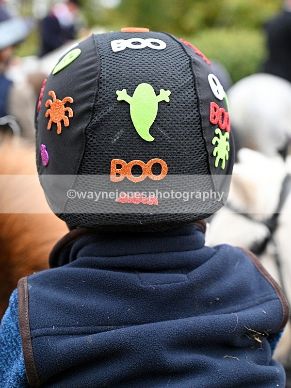 WJ7_6070 - Berks & Bucks - Children's Meet - The Old Farmhouse – Steventon.