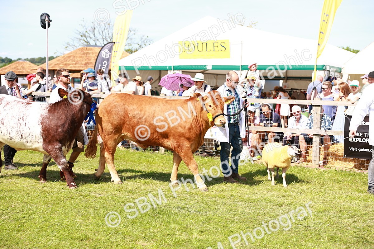 SBM_08326 - Grand Parade