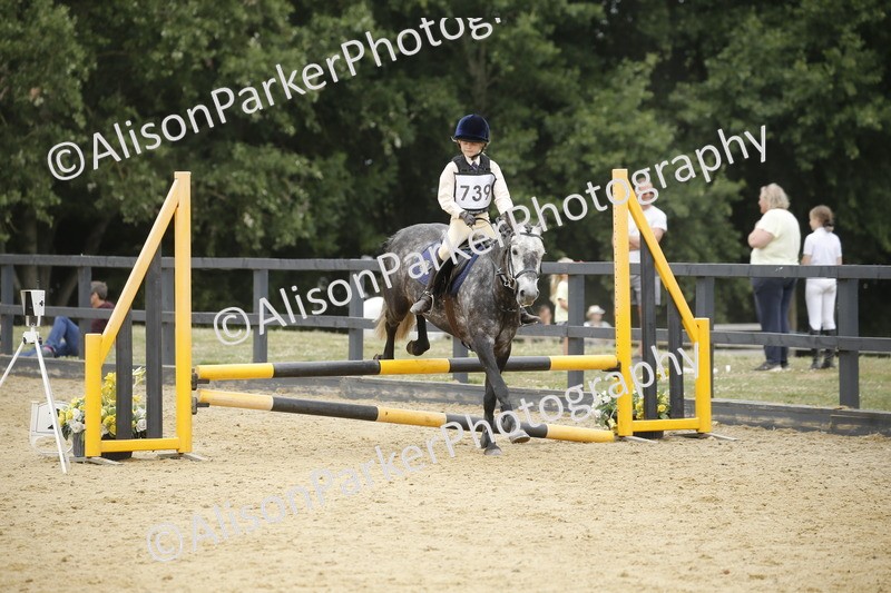 20250622-6208 - 60cm