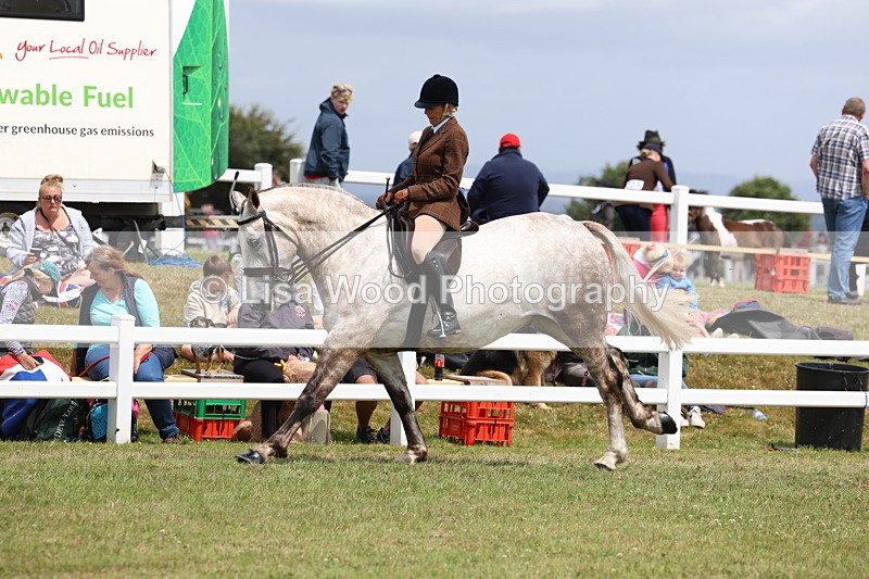 3E7A2094 - Class 10: Open Cob