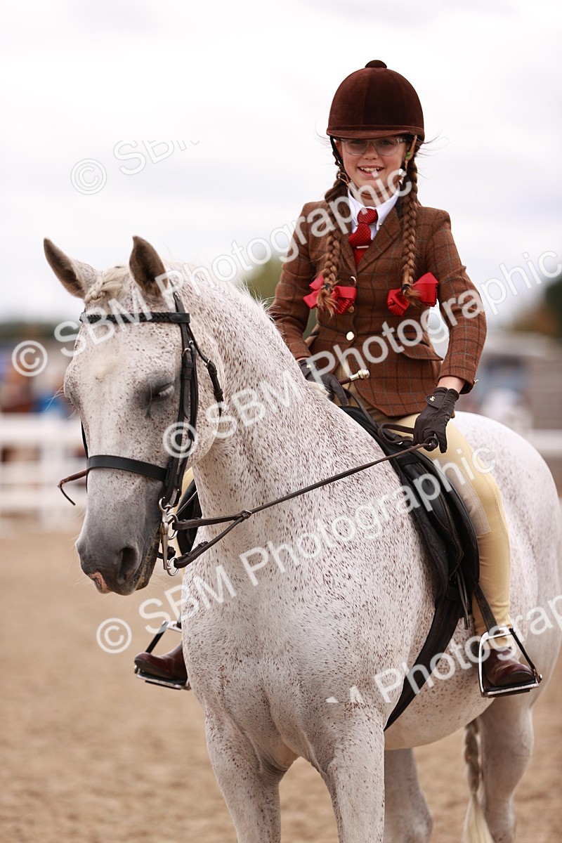 SBM_18597 - Class 421 - Childs Best Friend - Jnr
