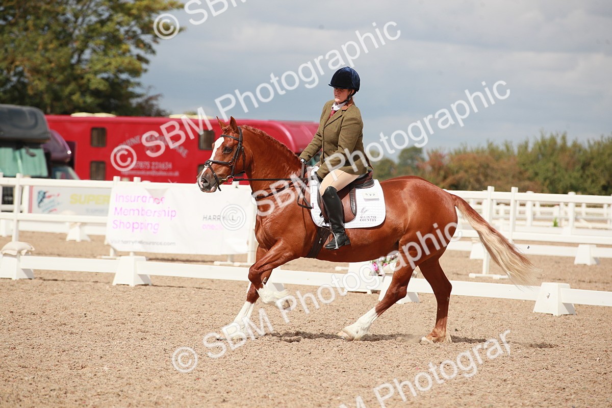 SBM_05866 - Class 32 - Novice 1