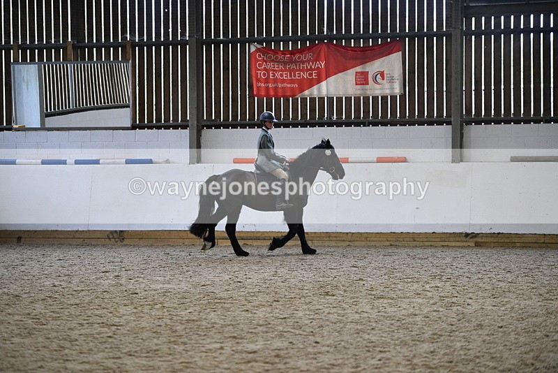 WJ5_7885 - Class 13 Ridden Part Breed