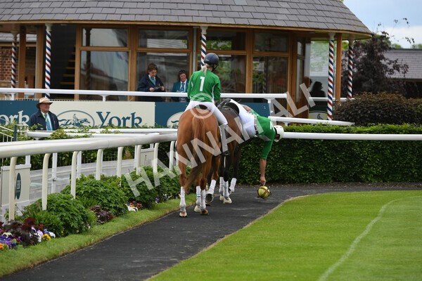 yr22052022r8e-38 - ROR - Parade Ring York