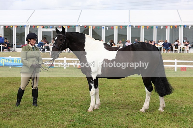 3E7A0391 - Class 6: Rising Star Maxi Cobs