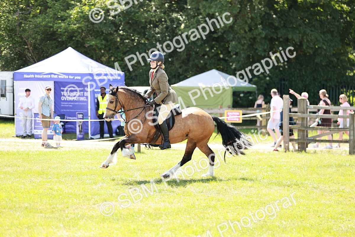 SBM_16352 - Class 110-111 - Training Stakes (70cms 80cms)