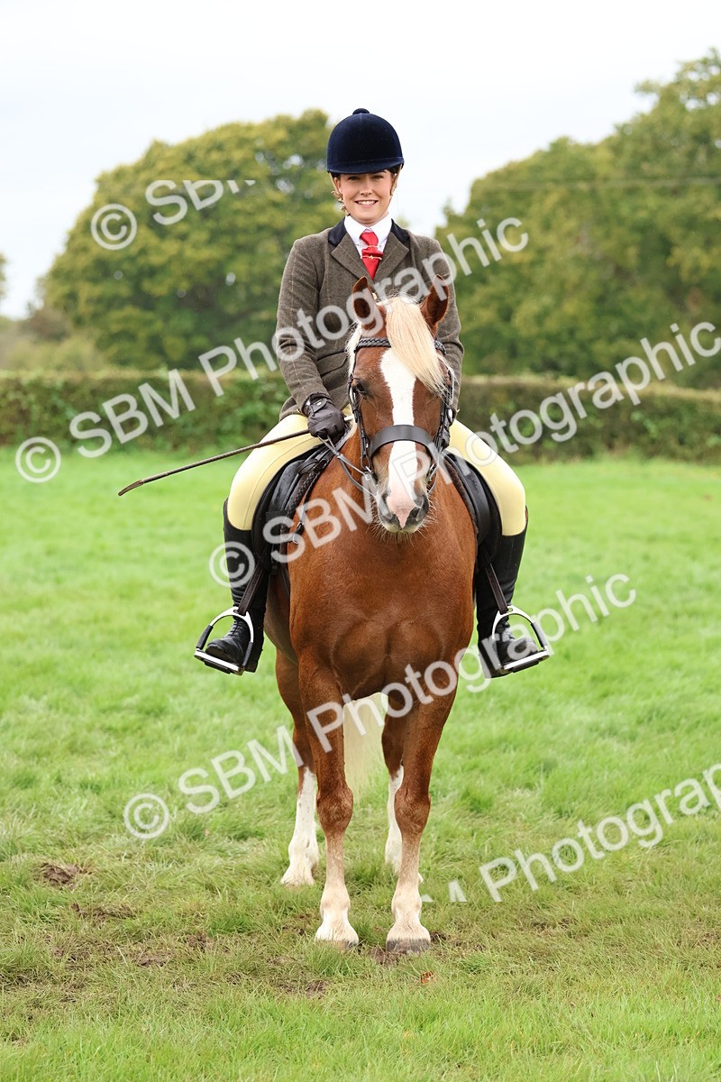 SBM_69650 - S62 - Mountain & Moorland Ridden Large Breeds