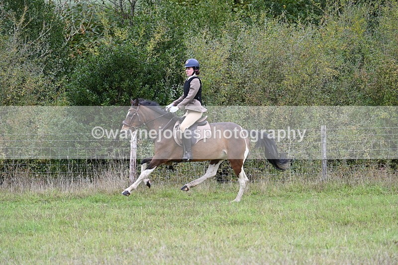 WJ7_3973 - Camera 1 Line 1