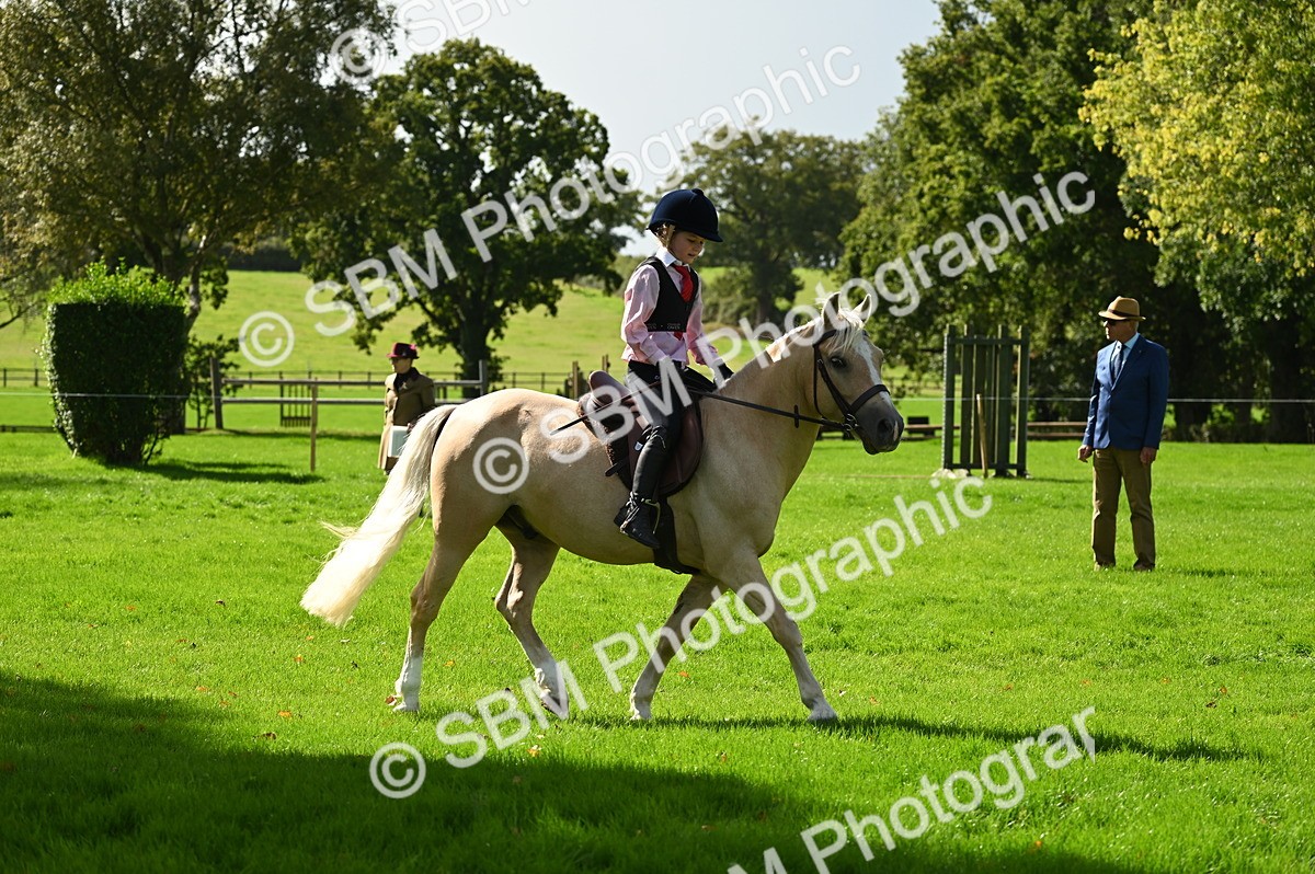 SBM_02741 - S3 - TSR Ridden Pony Showing