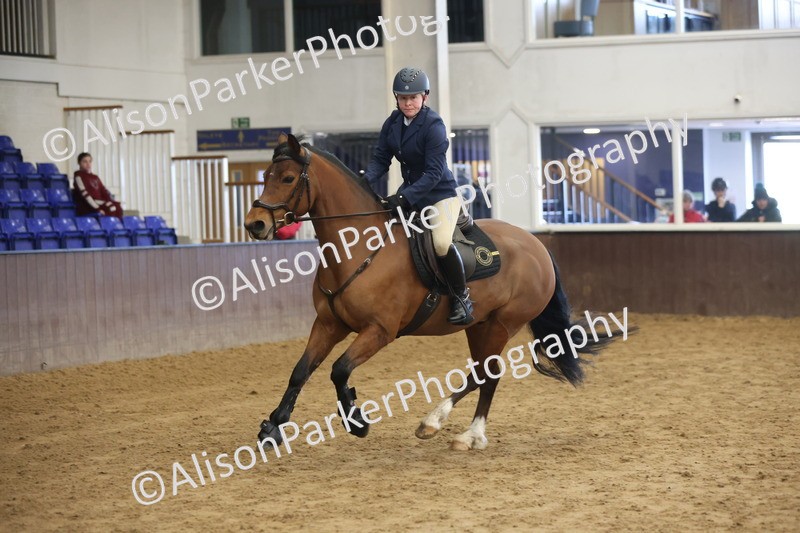 20260314-0429 - 60cm