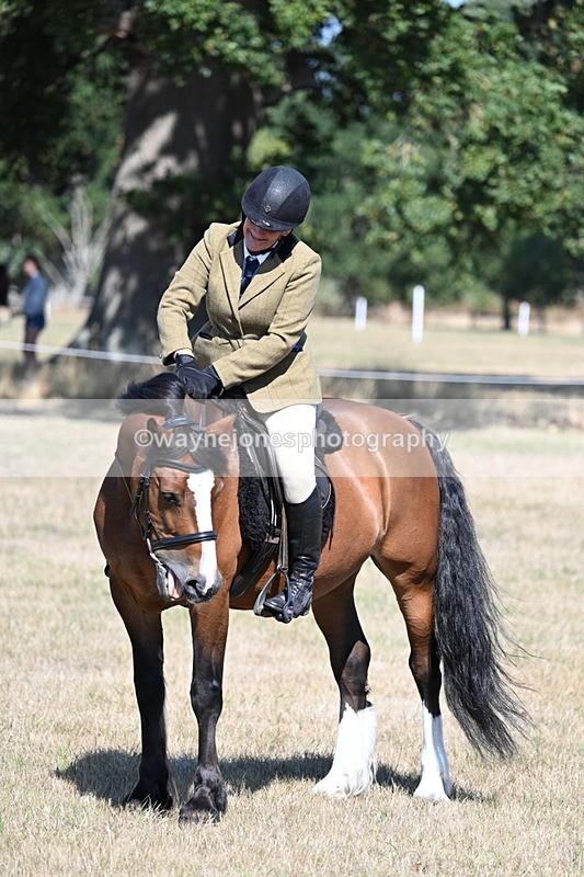 WJ7_4145 - Class 9 Mountain & Moorland Ridden