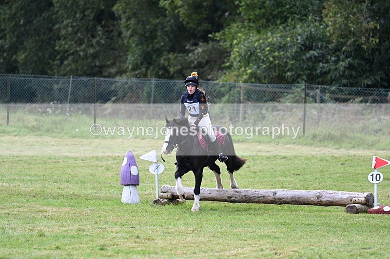 WJ7_8015 - 40cm Time 10:49 to 11:18
