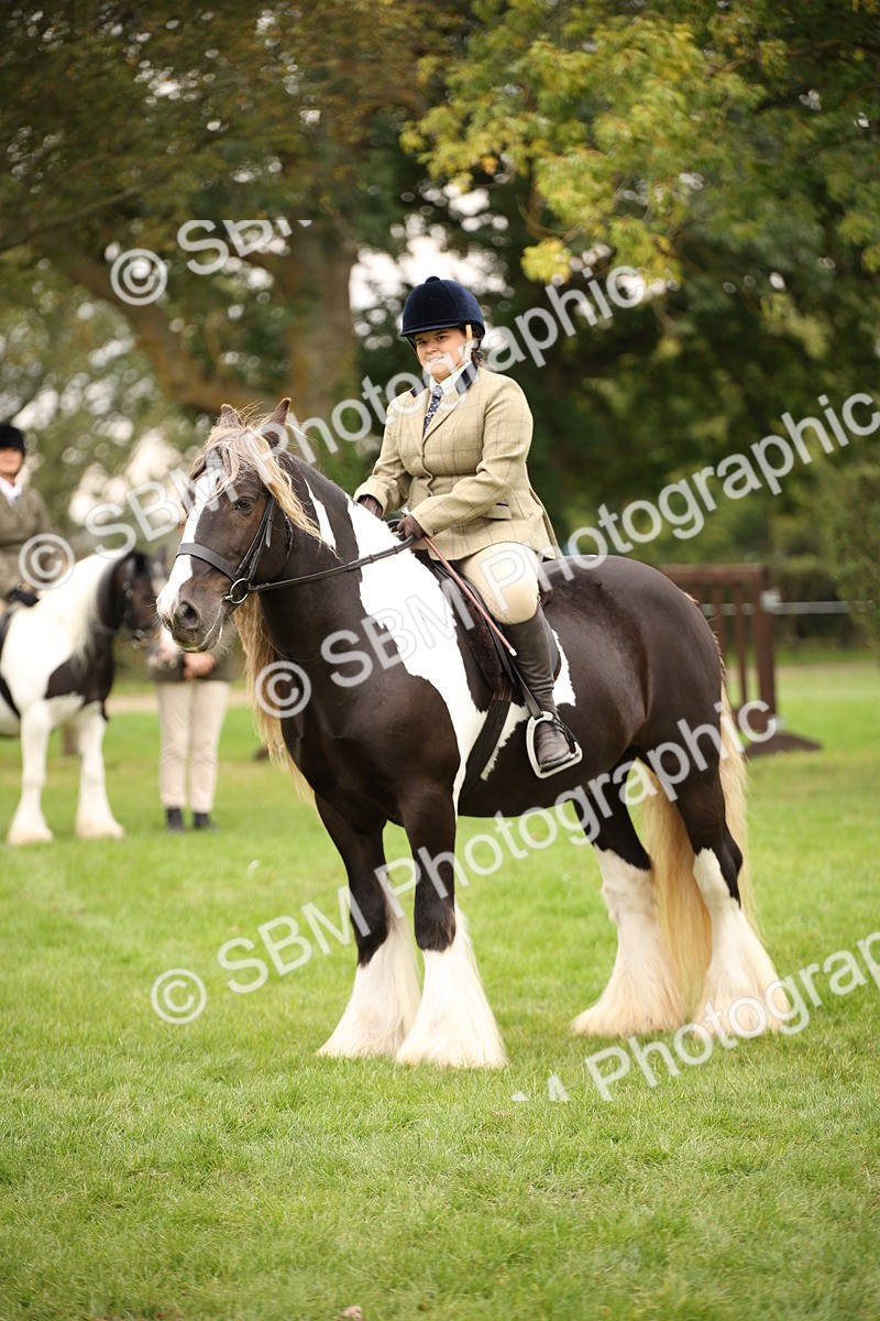 SBM_73504 - S68 - Traditional Cob Ridden