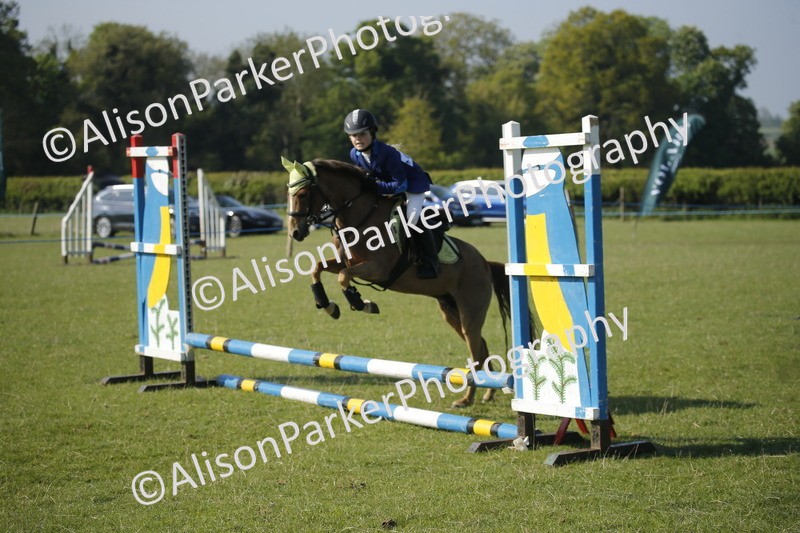 20250427-0364 - Class 12 - Rookie Jumping 40cm
