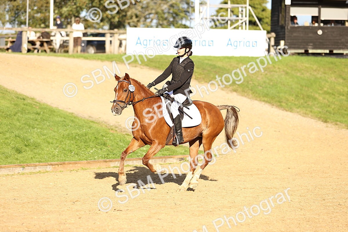 SBM_51897 - J10 - Junior Pony 75cm Championship