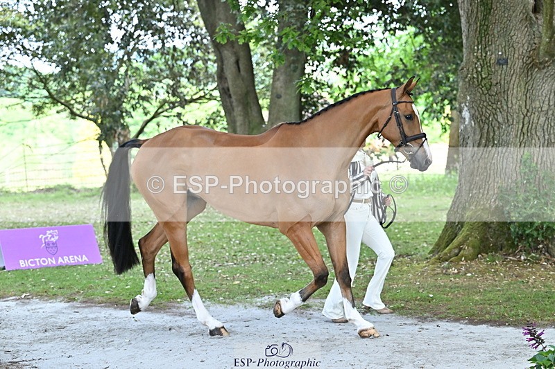 250521A-152944-00545 - B-321-Laura.Collett-BALANCERO