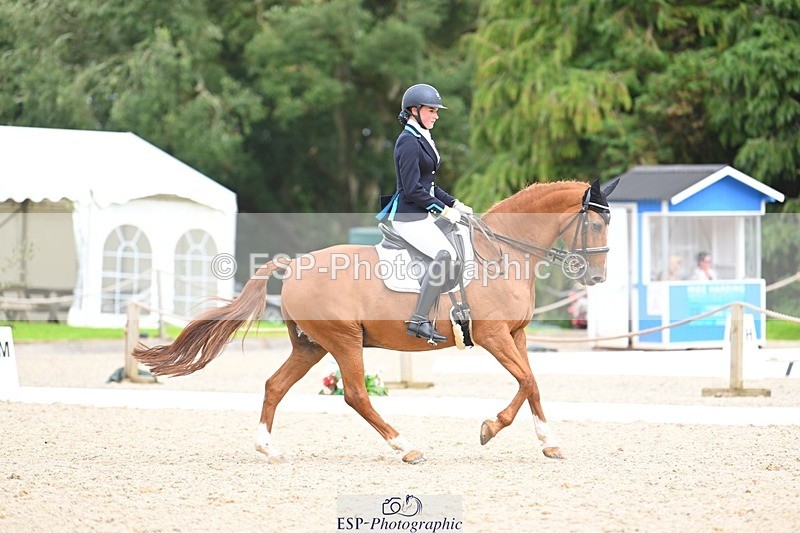 230813-134007-07618 - Cls 13 Medium Bronze 13.15 to End