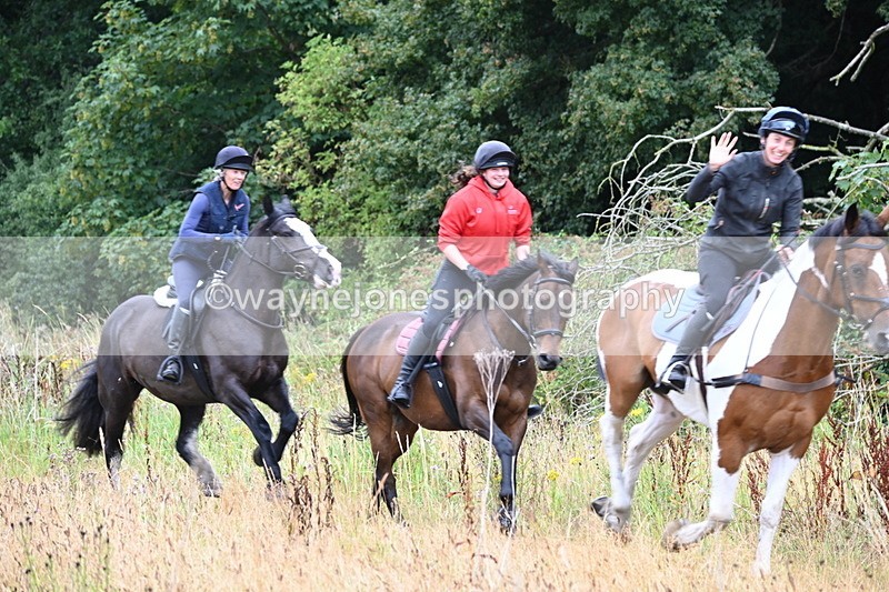 WJ6_1767 - Group 1