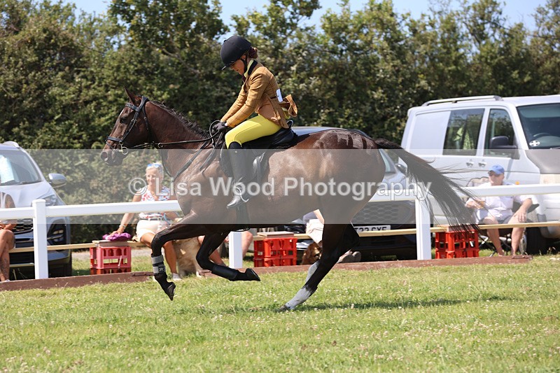JPP_3073 - Class 22: Working Hunter 70cm