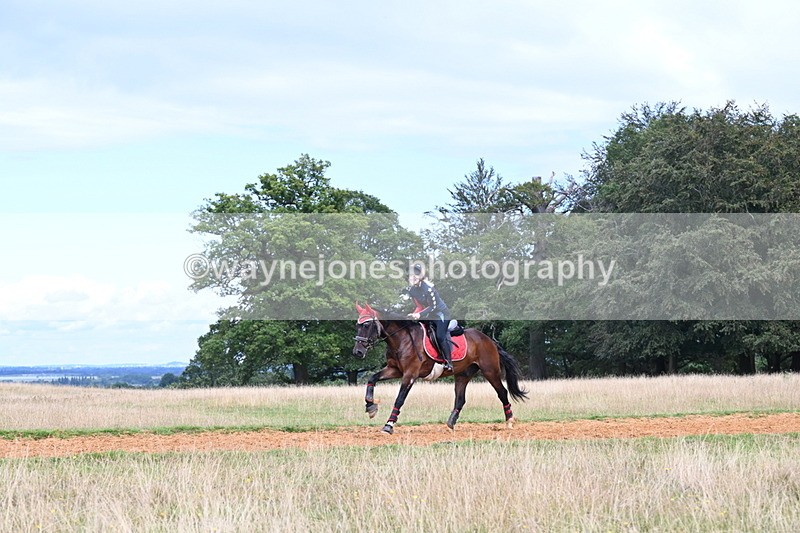 DSC_8909 - Time at Statue 14:33 to 15:10