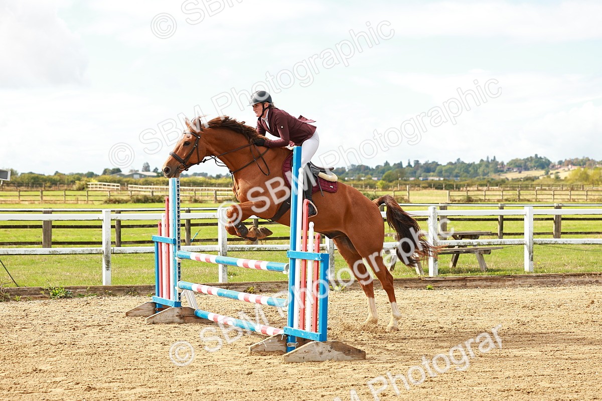 SBM_000445 - Class 2 - Senior British Novice - 90cm