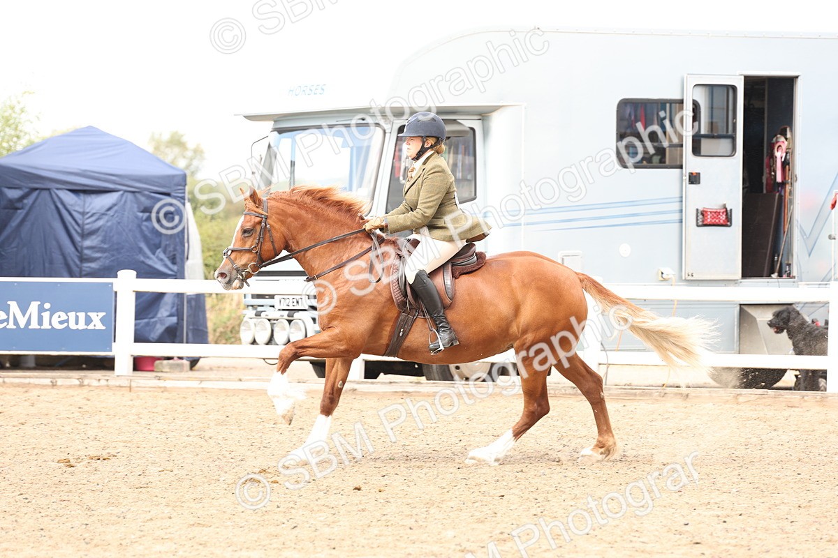 SBM_06797 - Class 58a -  Style & Performance - 70cm (15-19)