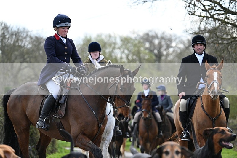 WJ7_9811 - Walk Home