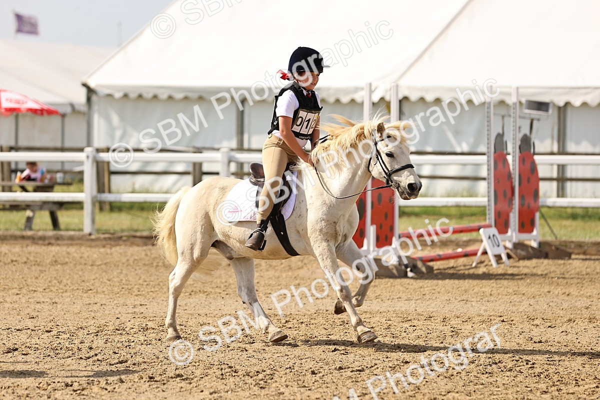 SBM_001431 - Class 1 - 40cm