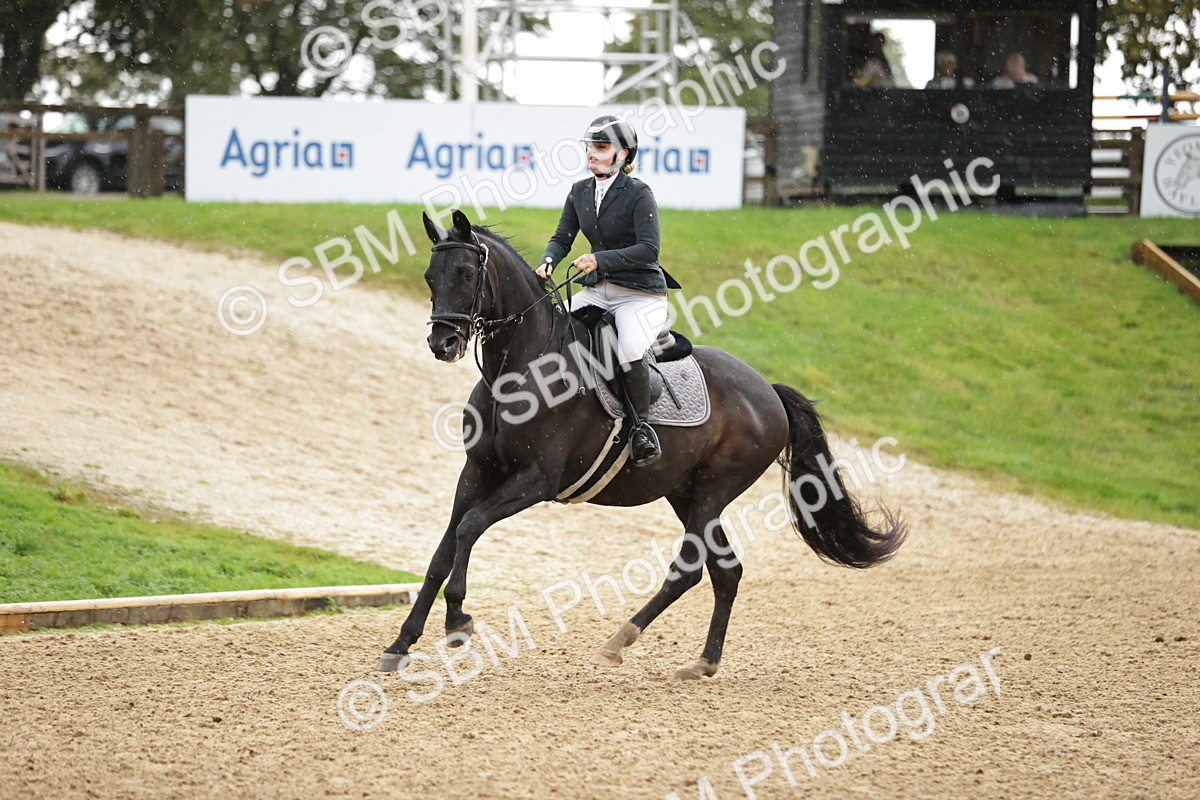 SBM_35905 - J38 - Senior Horse & Pony 80cm Championship