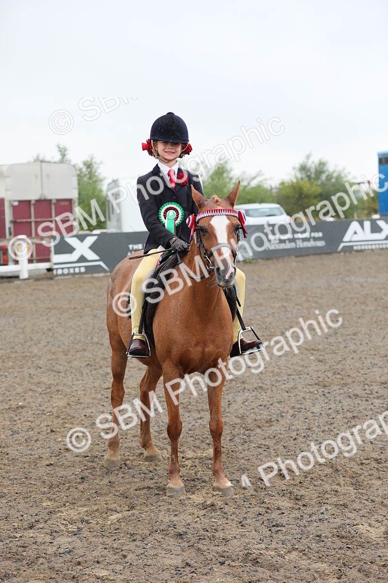 SBM_20650 - Class 804 - Ridden Veteran Pony