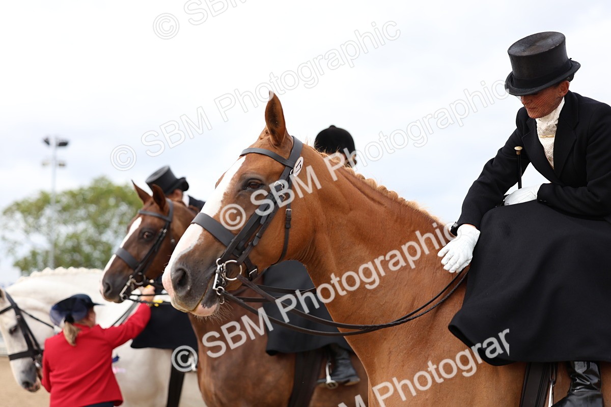 SBM_03484 - Class 24 - SSA Concours d'elegance (any age)