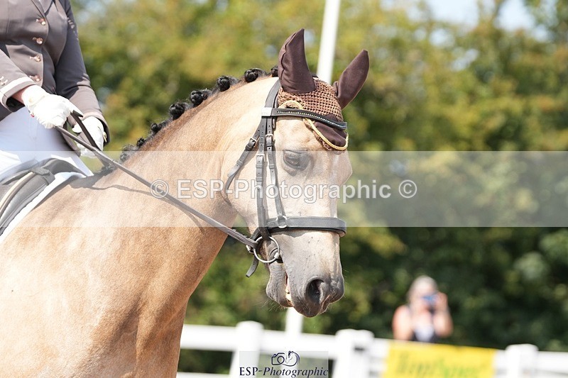 250817-124454-09417 - 194-Georgia.RyderDylasau.Zennor