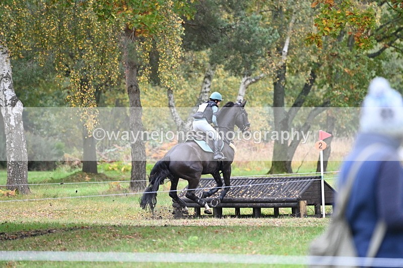 WJ6_3602 - 90cm Cam 1 Time 13:35 to 14:03