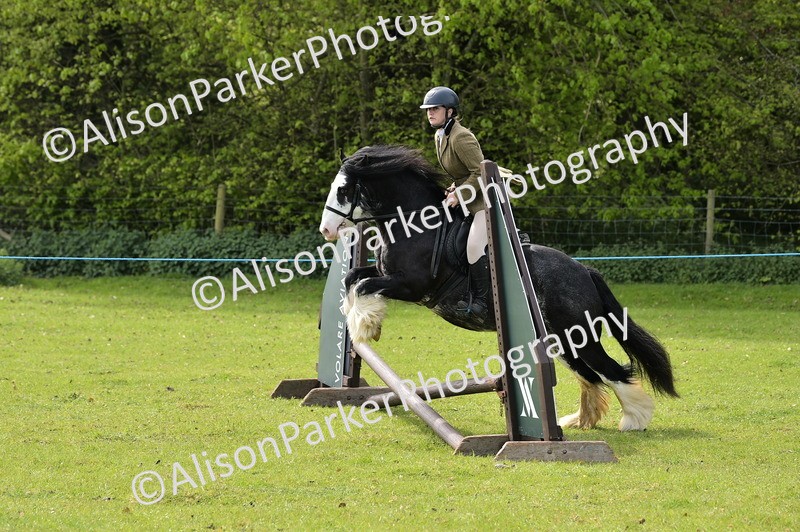 20260426-2284 - Class 20 - Beginner Working Hunter