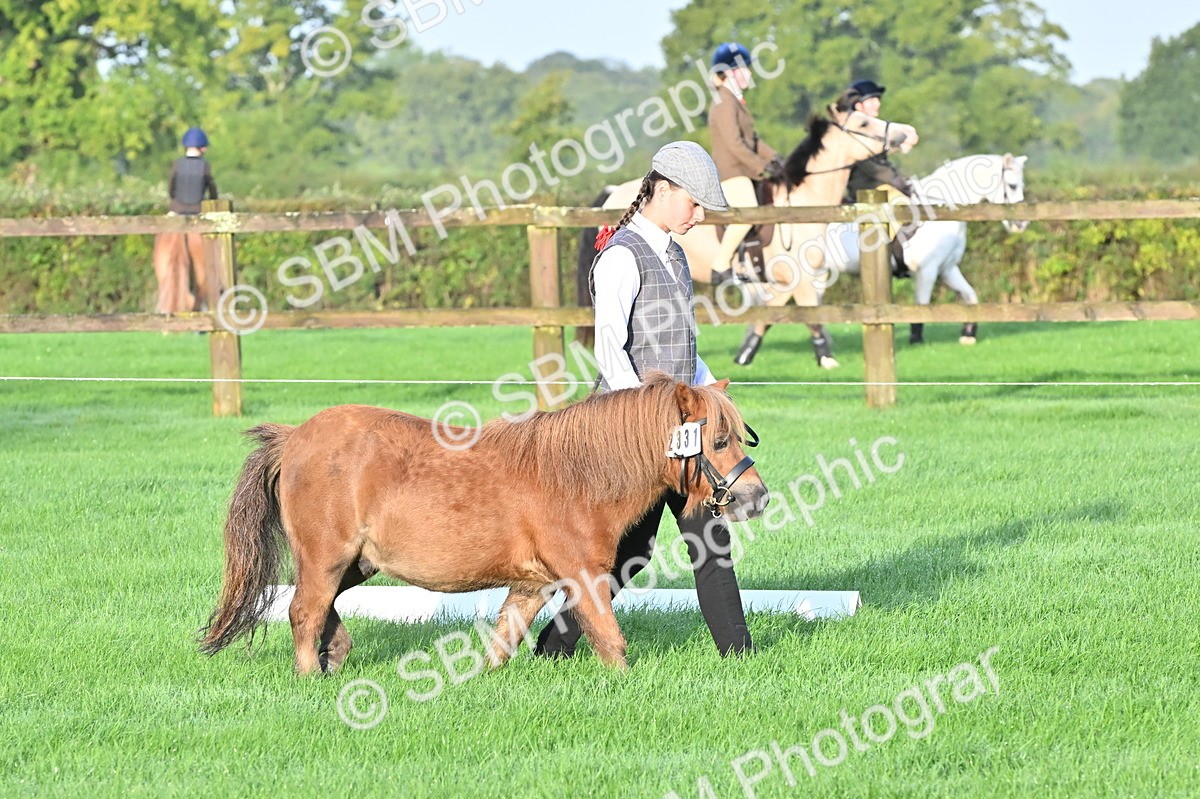 SBM_32547 - S15 - Top Turnout In Hand