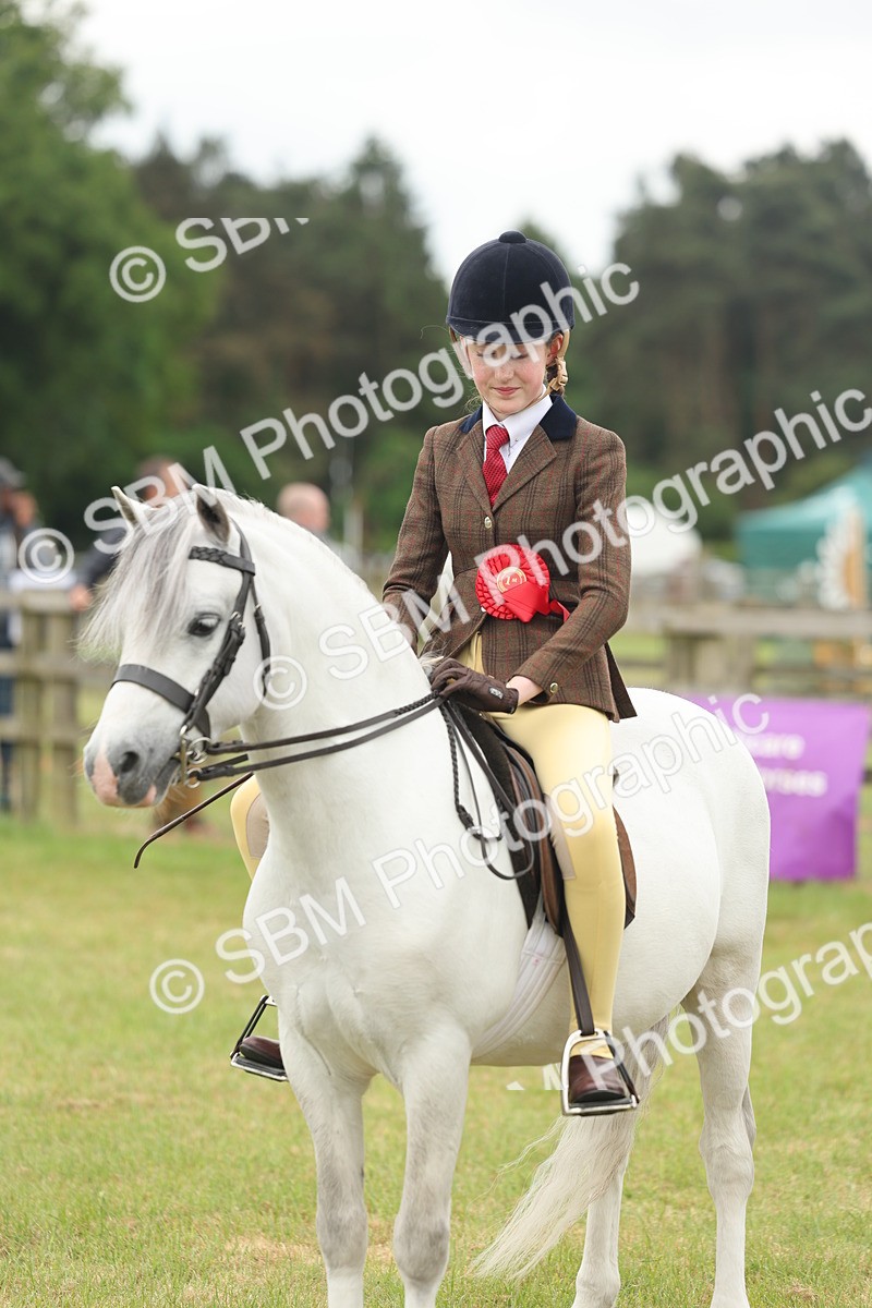 SBM_07136 - Class 76-77 - Ridden M&M Welsh Ponies