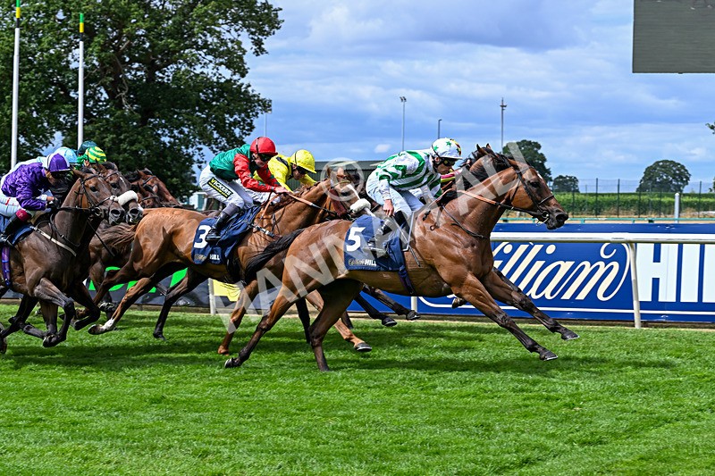 010826-Race 2-Witch Hunter-2275 - Race 2 14.08pm William Hill Summer Cup Handicap