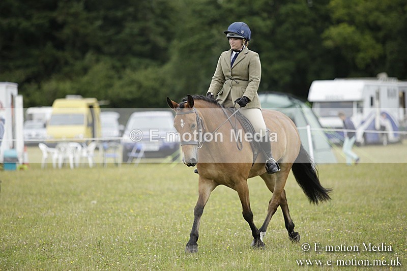 BVR160717-1029 - Ring 1 BVRC Show 16/07/17