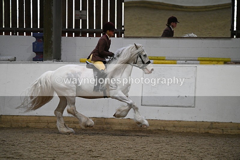 WJ7_3686 - Class 16 Ridden Coloured/ Odd Coloured