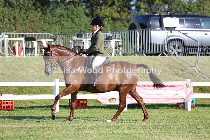 3E7A4998 - Class 1: Rising Star Small Hack/Riding Horses