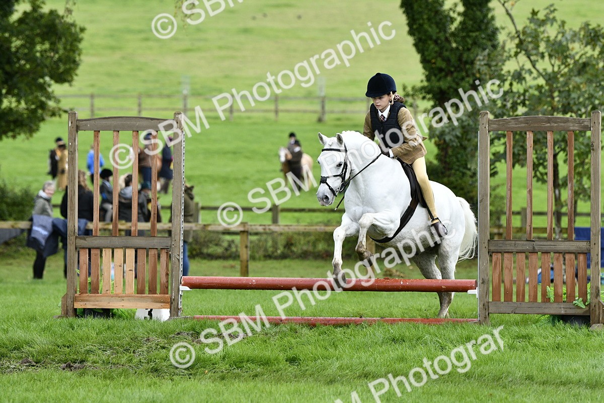 SBM_41552 - S32 - Mountain & Moorland Working Hunter Pony